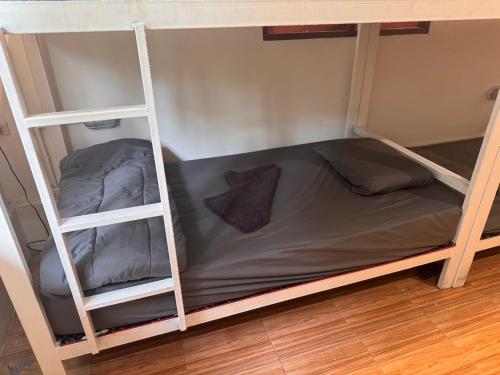 a room with two bunk beds in a room at WELLNESS of KOH TAO in Koh Tao
