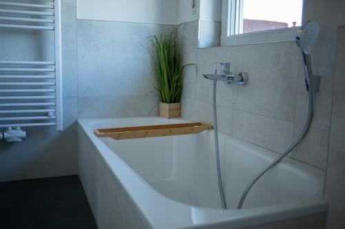 a bathroom with a shower and a tub with a plant at Best Stay Apartment Rhönblick Dietershausen in Künzell