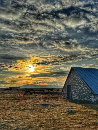 a group of horses are standing next to a barn at Guest House Ethno Village Milogora in Pluzine