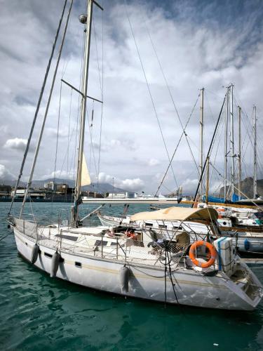Gloria Sailing