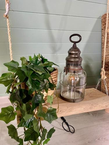 a lantern on a wooden shelf next to a plant at La Clé des Champs - Studio PiscineSPA-Sauna au jardin tropical idyllique et bucolique in Jouarre