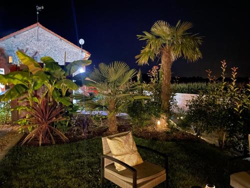 a garden at night with a chair and palm trees at La Clé des Champs - Studio PiscineSPA-Sauna au jardin tropical idyllique et bucolique in Jouarre