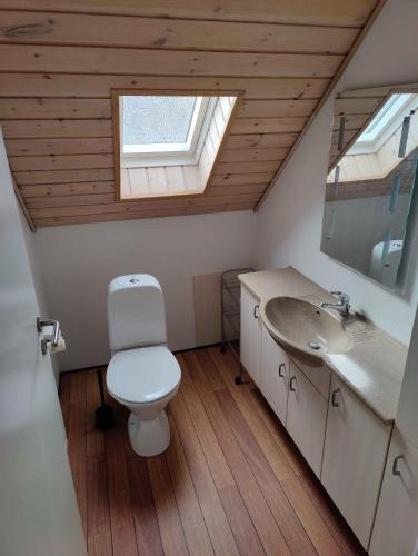 a bathroom with a toilet and a sink and a window at Renovated House With View And Large Terrace in Galten