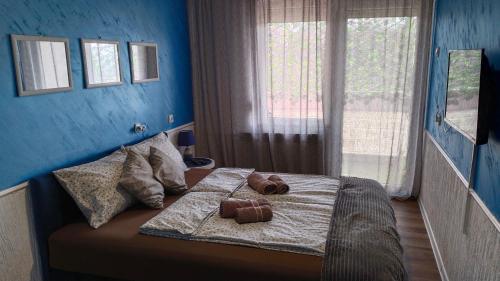 Postel nebo postele na pokoji v ubytování Lela's home (Lelin dom)