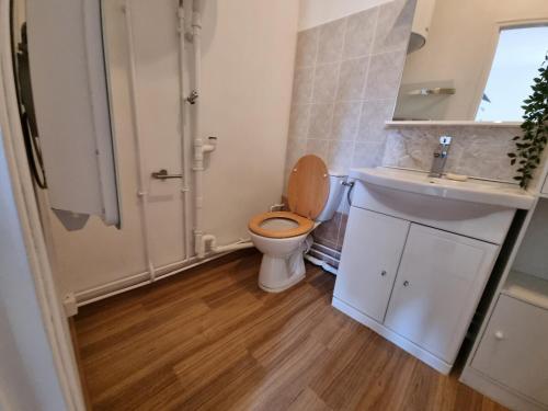 Mont d'arène superbe appartement proche gare