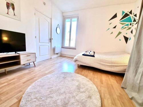 Mont d'arène superbe appartement proche gare