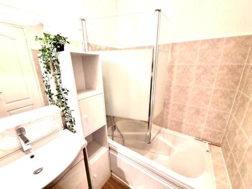 une salle de bains avec douche, toilettes et lavabo dans l'établissement Mont d'arène superbe appartement proche gare, à Reims