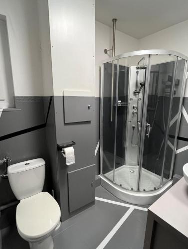 a bathroom with a shower and a toilet and a sink at Elegant & Peaceful - Private Parking in Mulhouse