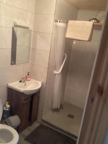 a bathroom with a shower and a sink at Barkers Accommodation in Spanish Point