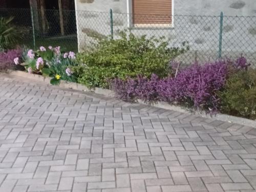 a garden with purple flowers next to a fence at B & B SENTIERO VALTELLINA in Castello dellʼAcqua