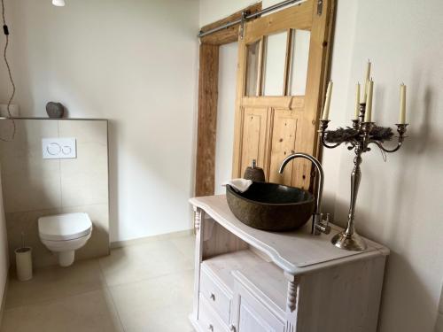 a bathroom with a sink and a toilet at Landhaus 1868 in Villenbach