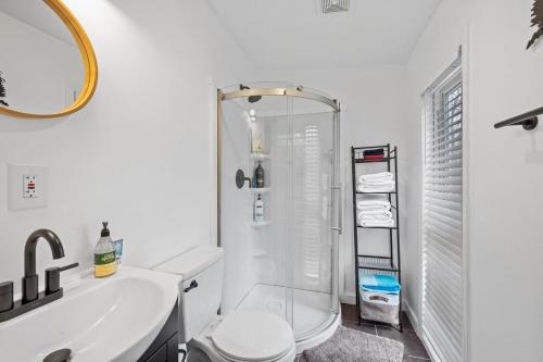 a bathroom with a shower and a toilet and a sink at Cozy 3BR Retreat in Downtown Bethlehem - Hot Tub, Trails, Near Ski & Hike in Bethlehem