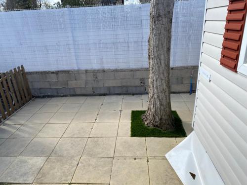 a tree in a courtyard next to a white wall at Mobilhome bord de mer in Le Grau-dʼAgde