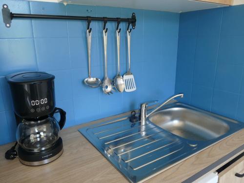 - un comptoir de cuisine avec évier, mixeur et ustensiles dans l'établissement Appartement sur le Golf de Digne, à Digne-Les-Bains