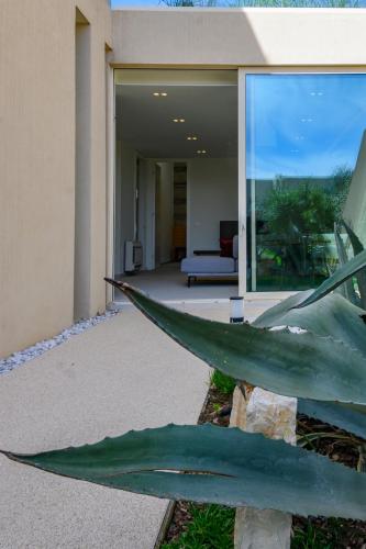 a house with a plant in front of it at MIKU Green Coast in Palasë