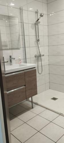 une salle de bain avec un lavabo et une douche avec un miroir dans l'établissement Chambres d 'Hotes Le Logis de la Palle, à Saint-Michel-en-lʼHerm