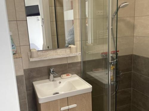 une salle de bain avec un lavabo et une douche dans l'établissement Studio climatisé en bord de mer avec parking à Hyères - FR-1-335-204, à Hyères