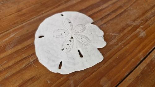 a piece of paper with a flower on a wooden floor at ADVENTURE House in Nancito
