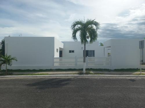 a white building with a palm tree in front of it at ADVENTURE House in Nancito