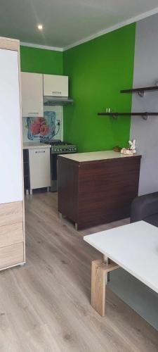 a kitchen with green walls and a table in a room at Apartament u Doroty obok Zamku Sarny in Ścinawka Górna