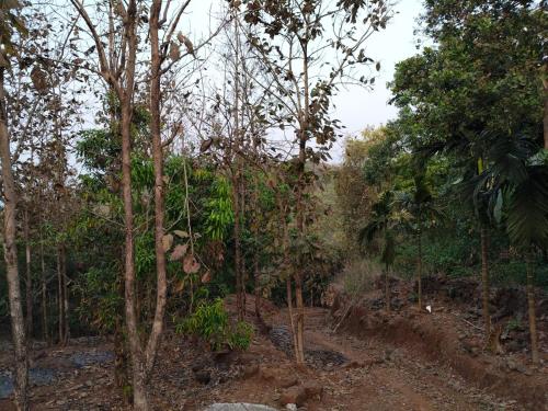 Landskap semula jadi dekat dengan perkhemahan ini