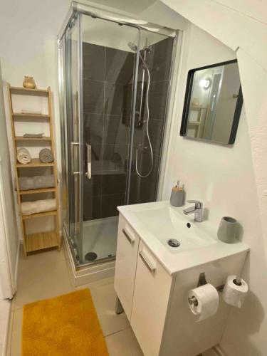 La salle de bains est pourvue d'une douche et d'un lavabo blanc. dans l'établissement Studio Cosy Centre de Reims, à Reims