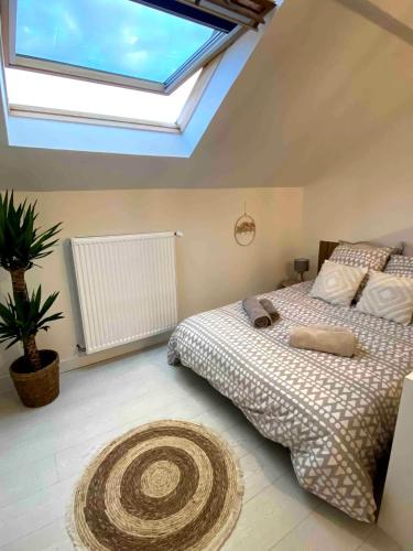 - une chambre avec un grand lit et une lucarne dans l'établissement Studio Cosy Centre de Reims, à Reims