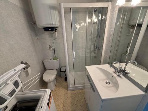 une salle de bain avec une douche, un lavabo et des toilettes dans l'établissement Appartement 26m² Sud/Est avec Balcon à Balaruc-les-Bains, Animaux acceptés - FR-1-503-69, à Balaruc-les-Bains