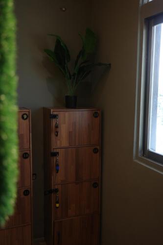 a room with a plant on top of a dresser at 旅兜- house in Lanyu