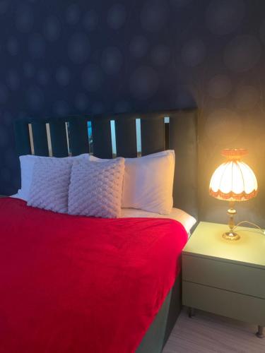 a bed with a red blanket and a lamp on a night stand at Slatina Armoniei central Studio in Slatina