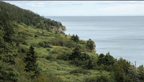 a green hillside with the ocean in the background at Chalets Nautika in Gaspé
