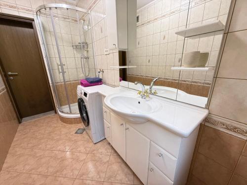a bathroom with a sink and a washing machine at Holiday house David in Podčetrtek