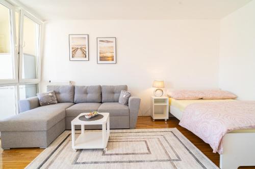 Apartment Alfa