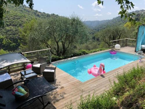 une piscine avec un flamingo rose dans l'eau dans l'établissement Cottage provençal 3 chambres piscine spa nature & calme, à Colomars