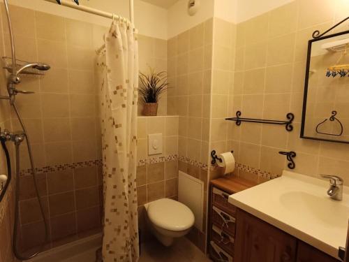 une salle de bain avec toilettes, lavabo et douche dans l'établissement Chalet Du Bois De Suffin N 8 - Appartement cosy à 50m des pistes ! Plein sud - Terrasse - garage MAE-8664, à Montgenèvre