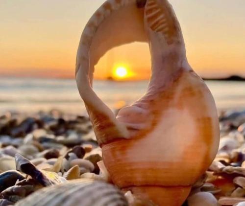 ナボダリにあるOnix Blue Mamaia Nordのギャラリーの写真
