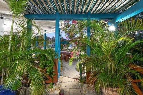a patio with palm trees and plants in a building at Titi Vacation Homes in Cobbs Cross
