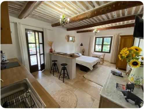 Studio Mas de Papé Verquieres Saint Rémy de Provence