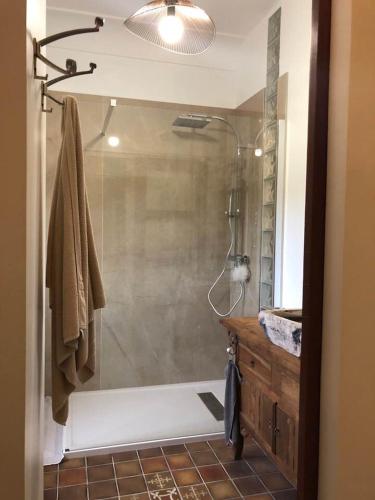 une salle de bain avec une douche avec une porte vitrée dans l'établissement Studio au milieu des vignes, à Tresques