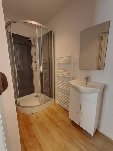 a bathroom with a shower and a sink at Jean 1B Brussels-Charleroi-Airport in Charleroi