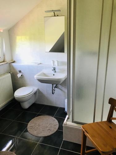 a bathroom with a toilet and a sink at Ferienhaus Thalblick in Ruhla in Ruhla
