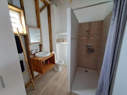 łazienka z prysznicem, toaletą i umywalką w obiekcie Les gîtes coco soleil w mieście Saint-François