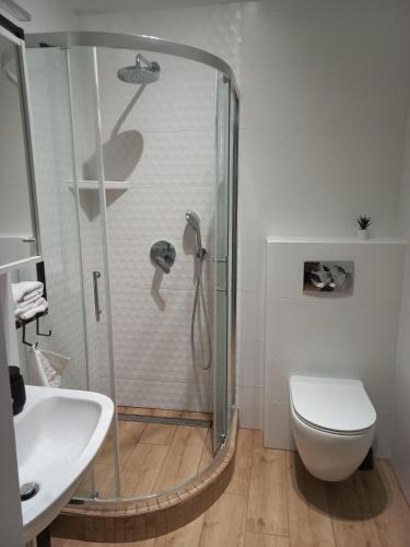a bathroom with a shower and a toilet and a sink at Dunakorzo Apartman in Szentendre
