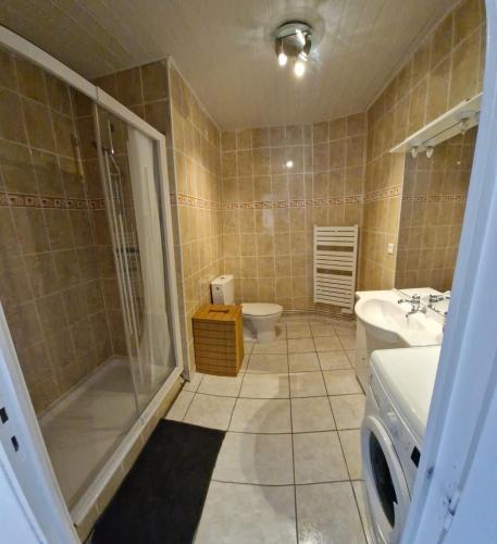 une salle de bain avec une douche, des toilettes et un lavabo dans l'établissement Origine, à Saint-Pair-sur-Mer