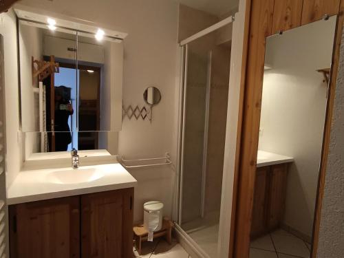 Kúpeľňa v ubytovaní Chalet Du Bois De Suffin N 10 - Appartement cosy à 20m des pistes ! Plein sud - 4 pers. Terrasse - parking couvert MAE-8844