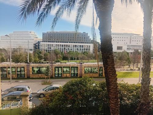 a palm tree and a train in a parking lot at Grande chambre cosy avec salle de bain et WC privatif in Montpellier