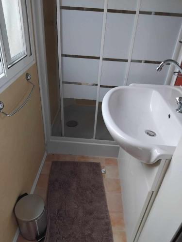a bathroom with a shower and a white sink at Mobil home LE COUCOU in Le Martinet
