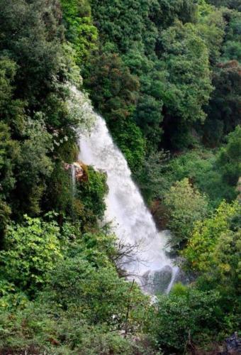 Paesaggio naturale nelle vicinanze dell'appartamento