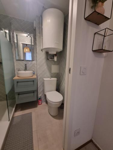 a small bathroom with a toilet and a sink at Magnifique vue plage à 50m, WIFI, très joli et moderne appt 1 chambre, 4 couchages 2 adultes 2 enfants in Le Barcarès