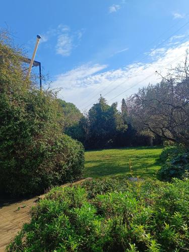 un champ verdoyant avec des arbres et un ciel bleu dans l'établissement Maison du Partégal, à La Valette-du-Var